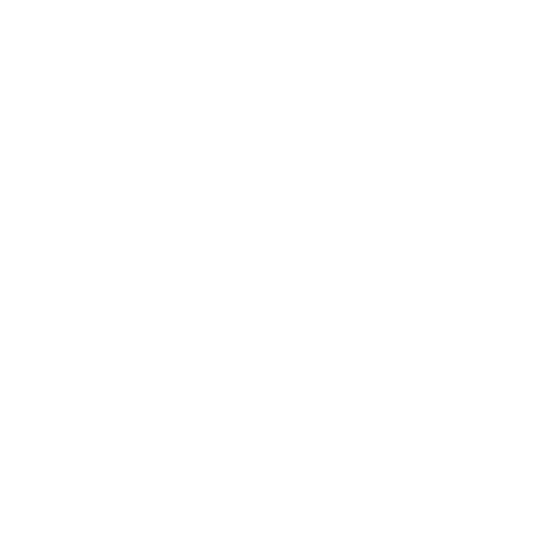 WILD GYM WEAR